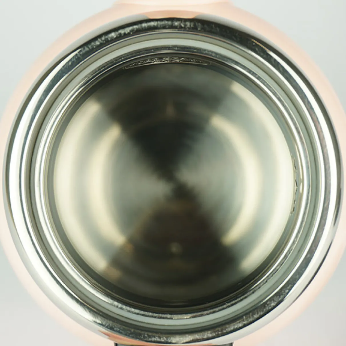 Dubbelwandige waterkoker met temperatuurregeling - Pure Kettle ICE