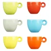 Espressokopjes - 80ml - Mosterdman - 6 kopjes regenboog