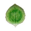 Hortensiablad - Costa Nova - Riviera - bord 22cm - Hydrangea